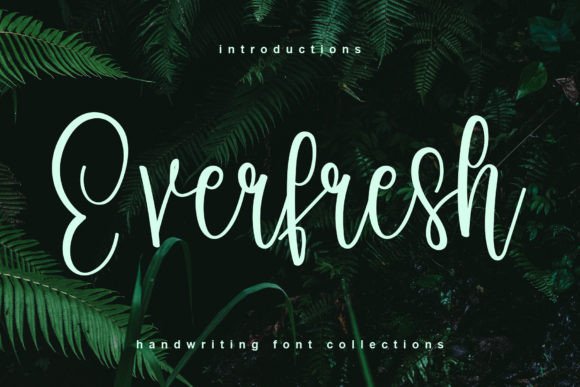 Everfresh Font: A Joyful Typeface for Your Creative Campaigns