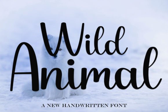Wild Animal Font Review